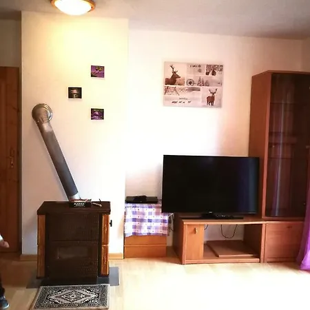 Apartment Ferienwohnung Roth